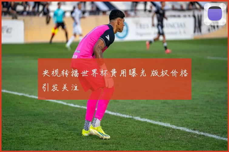 央视转播世界杯费用曝光 版权价格引发关注