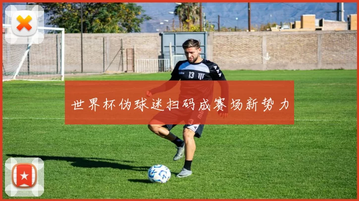 世界杯伪球迷扫码成赛场新势力