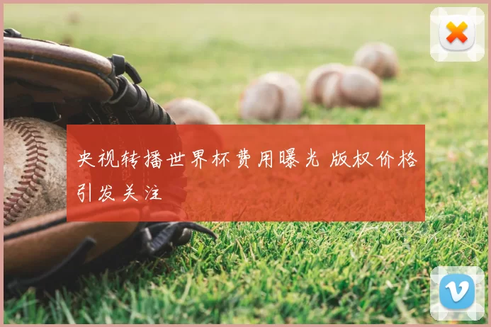 央视转播世界杯费用曝光 版权价格引发关注