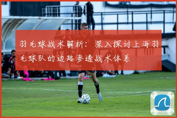 羽毛球战术解析：深入探讨上海羽毛球队的边路渗透战术体系