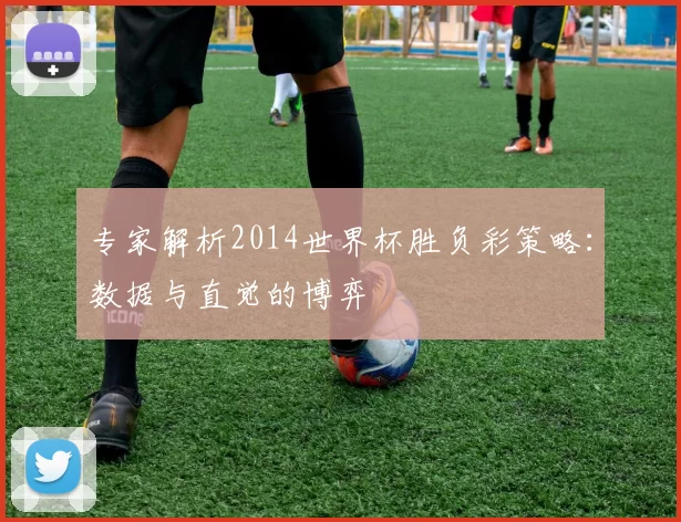 专家解析2014世界杯胜负彩策略:数据与直觉的博弈