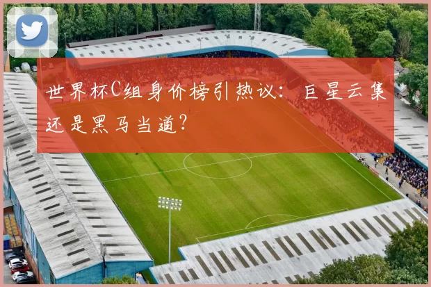 世界杯C组身价榜引热议：巨星云集还是黑马当道？