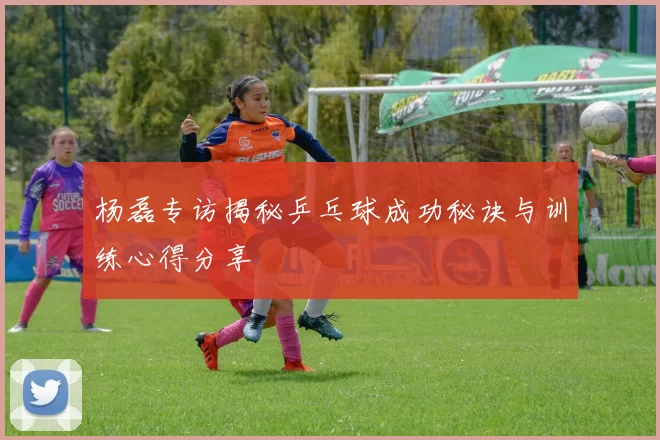 杨磊专访揭秘乒乓球成功秘诀与训练心得分享