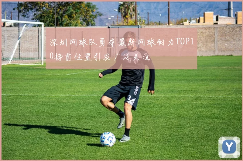 深圳网球队勇夺最新网球耐力TOP10榜首位置引发广泛关注