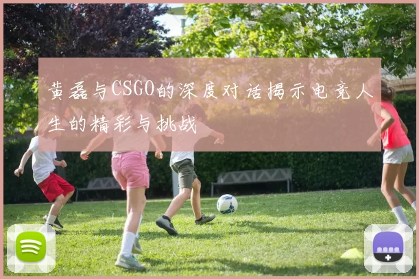 黄磊与CSGO的深度对话揭示电竞人生的精彩与挑战
