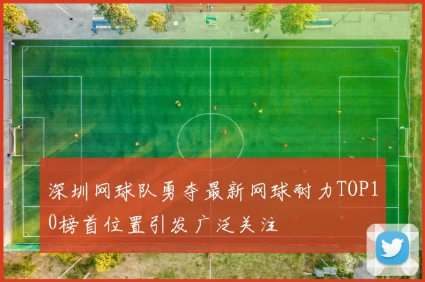 深圳网球队勇夺最新网球耐力TOP10榜首位置引发广泛关注